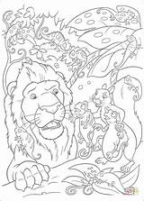 Samson Cloak Salvaje Zoo Benny Tierisch Fuga Ausmalbilder Coloradisegni Camaleonti Designlooter Camouflage Supercoloring Colorare sketch template