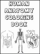 Body Coloring Parts Pages Preschool Kids Printable Human Getcolorings Color sketch template