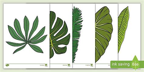 ks jungle leaf template cut outs hecho por educadores