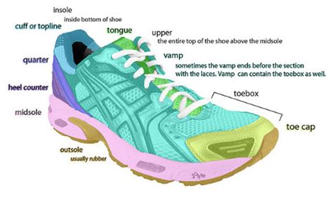 shoe diagram foot notes independent sole