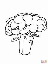 Cauliflower Coloring Drawing Pages Printable Vegetables Color Getdrawings sketch template