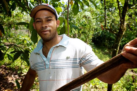 Cocoa Life In Dominican Republic