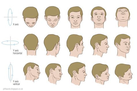 jeff searle drawing  head   angles