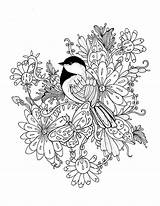 Amazon Coloring Bloemen Chickadee Blooms Southern Hand Afkomstig Illustrated Van Book Pages Adult Butterfly Etsy sketch template