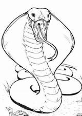 Tulamama Snakes sketch template