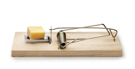 mousetrap cheese trap  mouse  rat trap   piece  cheese