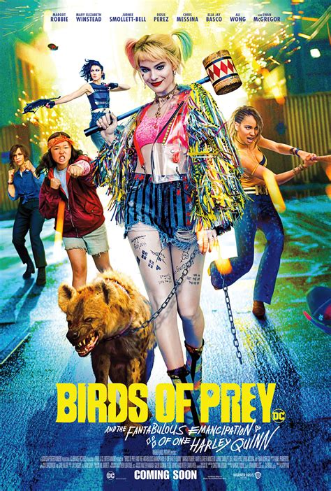 Birds Of Prey 2020 Original Movie Poster Art Of The