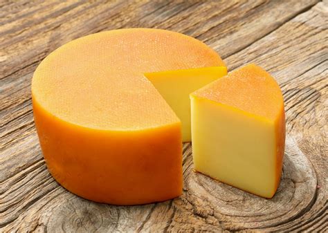 gouda cheese  cheesemaker