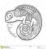 Mandala Mandalas Chameleon Etnisk Kameleont Gullig Lizard sketch template