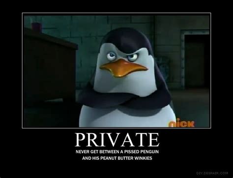 Image From… Penguins Of Madagascar Penguins Funny Contact Photos
