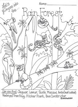 ecosystem interactive coloring pages  noodlzart tpt