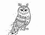 Owl Barn Coloring Winter Coloringcrew sketch template