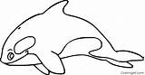 Whale Coloringall Whales sketch template