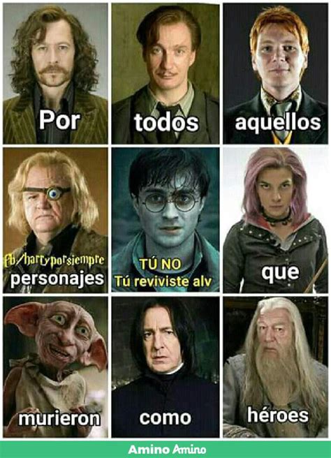 que pesada soy con los memes pero bueno harry potter español amino