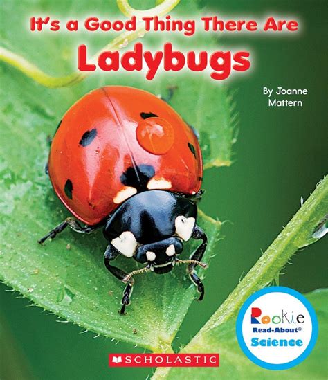 ladybug books  kids  love  mommy style
