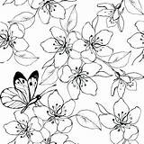 Cherry Blossom Coloring Pages Tree Japanese Colouring Getcolorings Lovely Printable Getdrawings Color sketch template