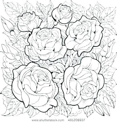 watercolor coloring pages coloring pages