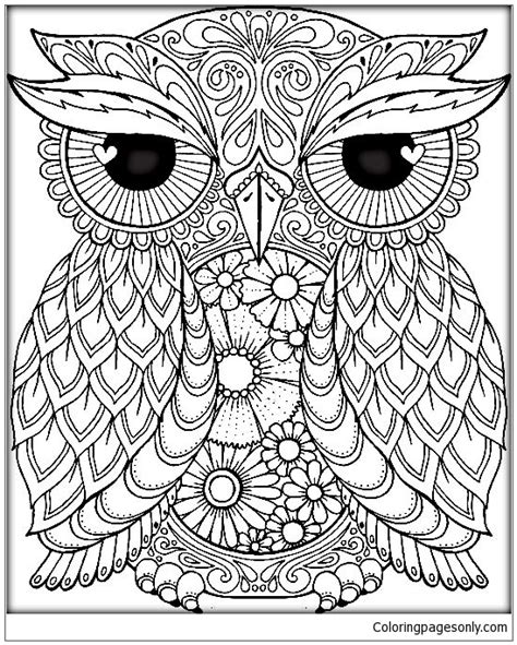 mandala owl coloring page  printable coloring pages