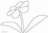 Flower Outlines Coloring Clipartbest Clipart sketch template