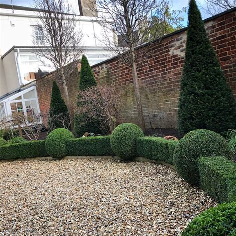Been Giving Some Boxwood And Yew Topiary A Trim To Keep Them Looking