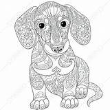 Coloring Animal Detailed Pages Printable Getcolorings Colorings sketch template
