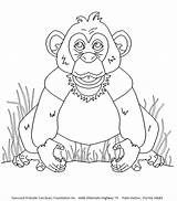 Print Chimpanzee Coloring Pages Cartoon Colorbook Popular Library Clipart Coloringhome sketch template