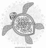 Coloring Hawksbill sketch template