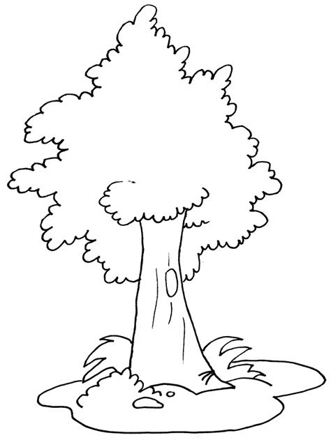 tree coloring pages effy moom