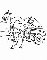 Camel Cart Coloring Drawing Outline Arabian Kids Pages Clipart Sketch Template Cartwheel Getdrawings Paintingvalley Cute sketch template