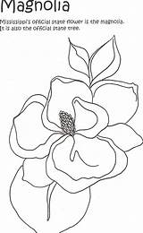 Magnolia Coloring Getcolorings Colorare Disegni Stencil Magnolias Imagixs sketch template