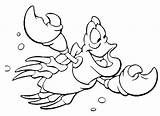 Sebastian Mermaid Coloring Pages Little Happily Swims Undersea Crab Pages2color Tritons Jamaican Red Print Servant Color Cookie Copyright sketch template