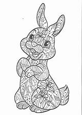 Coloring Easter Pages Mandala Bunny Cat Colouring Printable Bunnies Kids Easy Dibujos Uploaded User sketch template