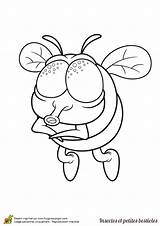 Mouche Coloriage Insecte Bestiole Colorier Hugolescargot Insectes Enregistrée 출처 sketch template