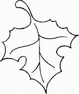 Leaf Printable Outline Outlines Clipart Coloring Library Clip Kids sketch template