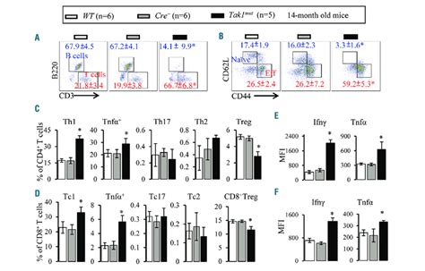 increased activation    tc cells  tak mut mice bone marrow  scientific