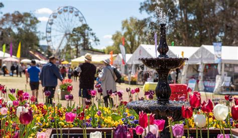 Experience The Best Of Floriade Our Canberra