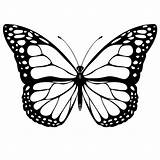 Butterfly Coloring Monarch Pages Printable Stencil Clip Designs Print Template Tattoo Pattern sketch template