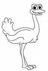 Ostrich Cartoon Coloring Colorluna Pages sketch template