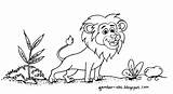 Mewarnai Singa Binatang Hewan Sketsa Contoh Liar sketch template
