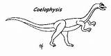 Coelophysis Coloring Dinosaurs Pages Eoraptor Meat Dinosaur Eating Template Triassic sketch template