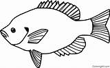 Bluegill Coloring Pages Easy Printable Fish Sheets Cartoon Format Vector Choose Board sketch template