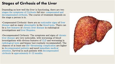 Ppt Liver Cirrhosis Symptoms Stages Diagnosis And Treatment