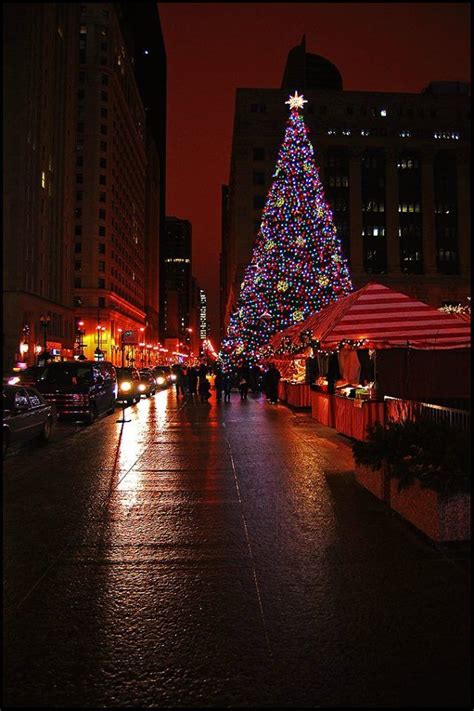 daley plaza christmas tree chicago ee uu chicago christmas christmas   city