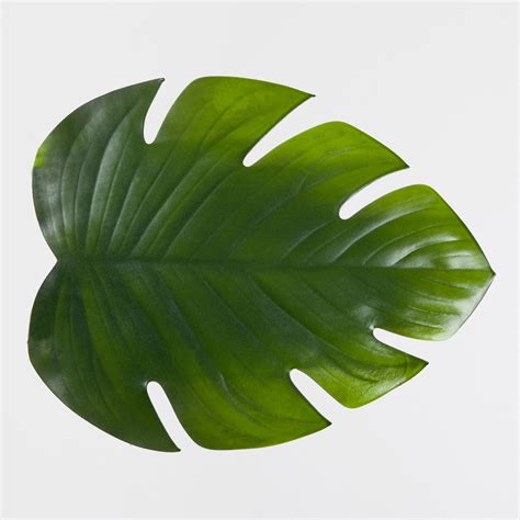 channel  tropical vibe   palm leaf place mats