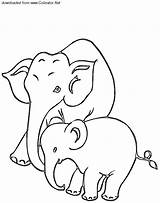 Elephant Calf Animals sketch template