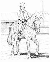 Show Coloring Pages Horse Jumping Pony Boy Horses Color Getcolorings Jp Printable Print Gemerkt Von sketch template