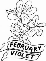 Birthstone February Coloring Violet Flower Pages sketch template