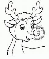 Coloring Pages Reindeer Popular sketch template