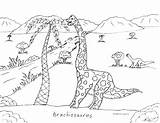 Brachiosaurus Robin Cycad sketch template