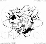 Bear Illustration Vicious Aggressive Mascot Breaking Through Wall Royalty Clipart Atstockillustration Vector 2021 sketch template